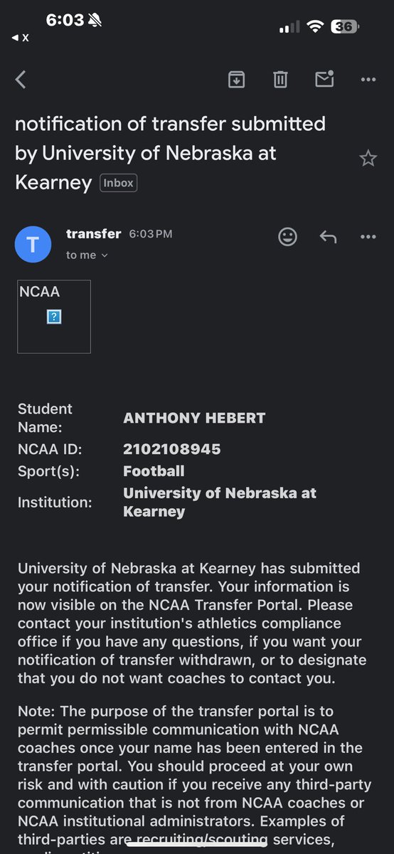 Abear⭐️ tweet media