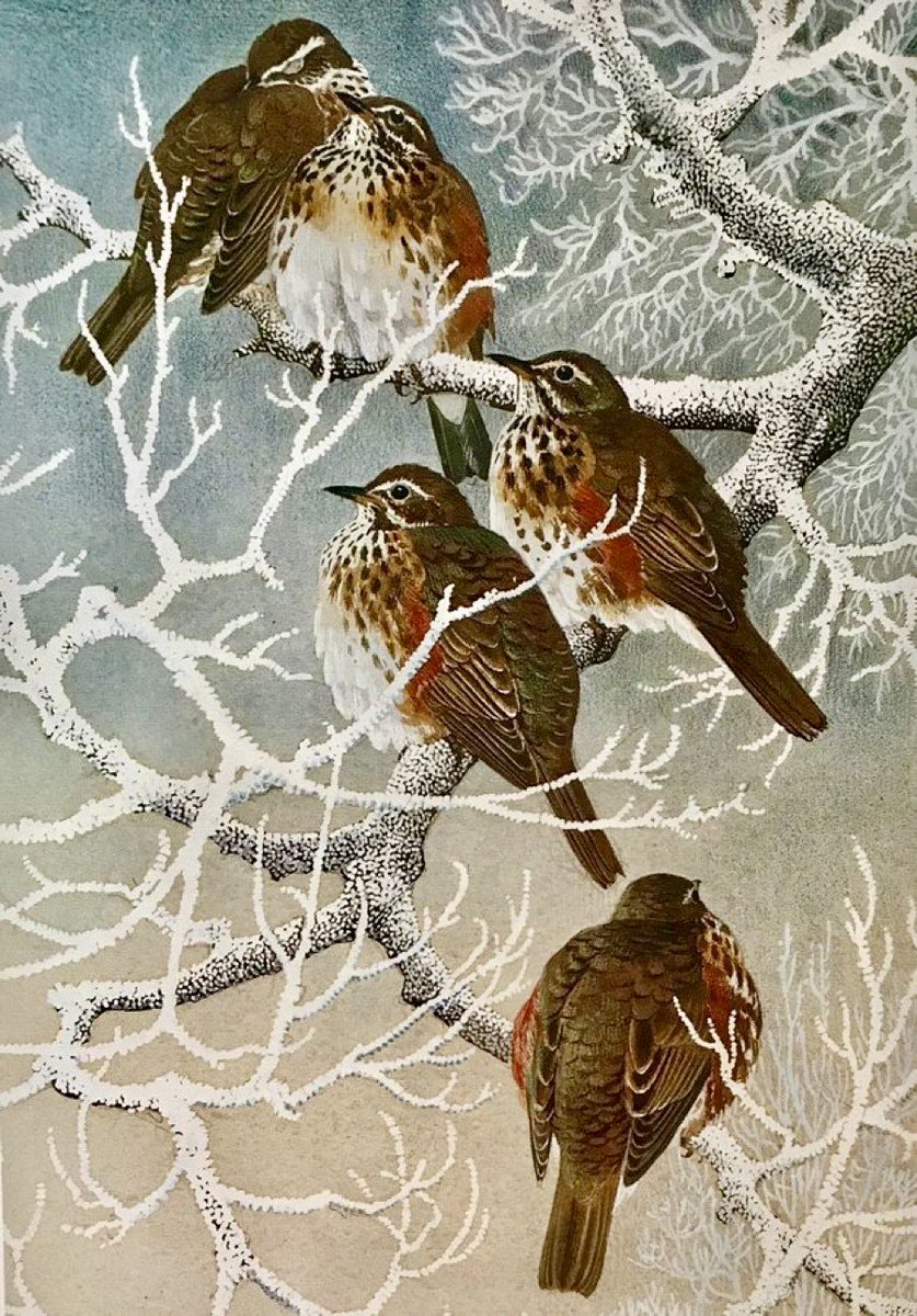 Helen Day tweet media