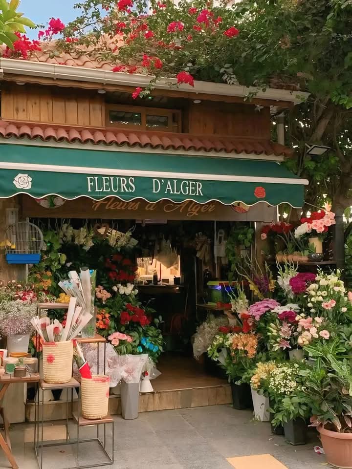 الرغبه ف اعتزال البشر وفتح محل ملئ بالزهور.💗