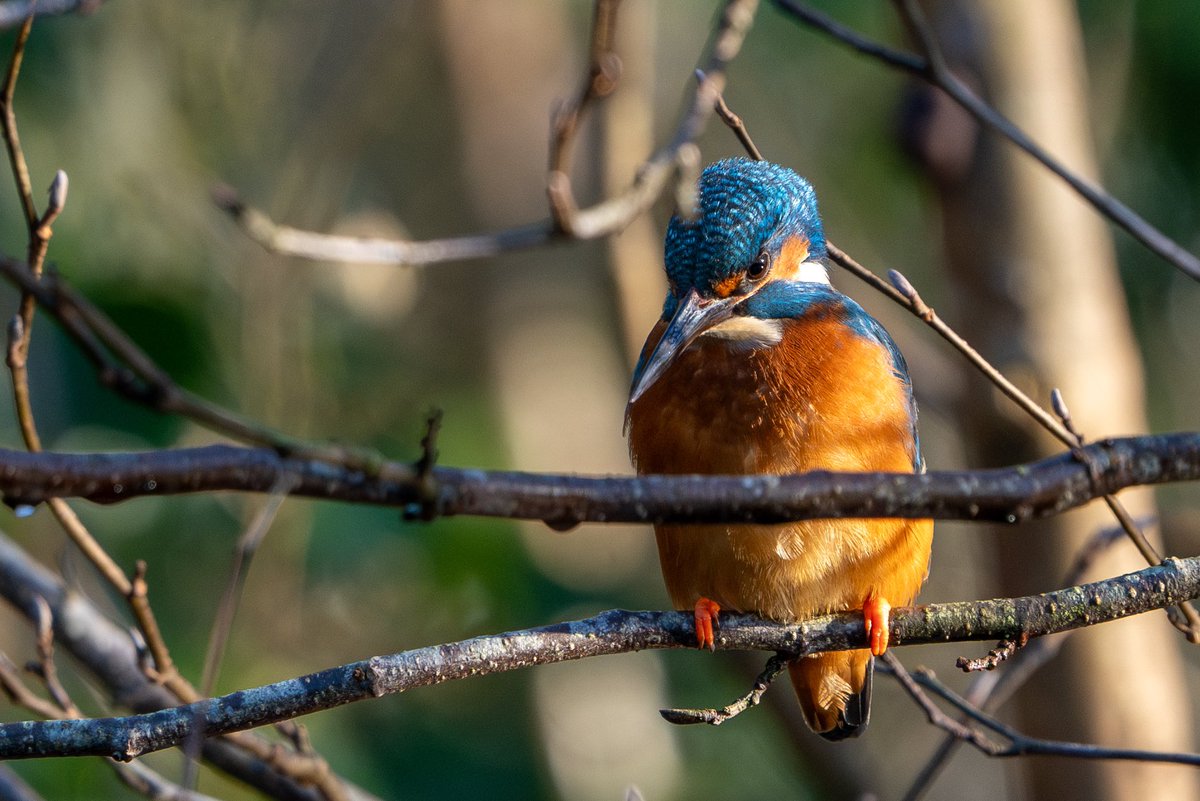 James Darby tweet media