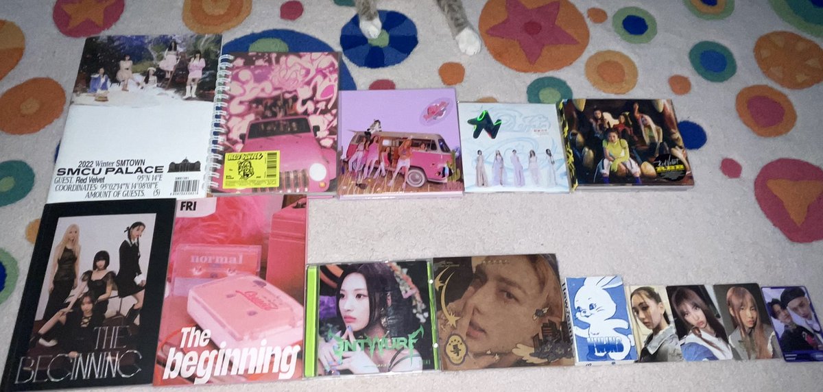 유나비 | İrem Kıyga tweet media