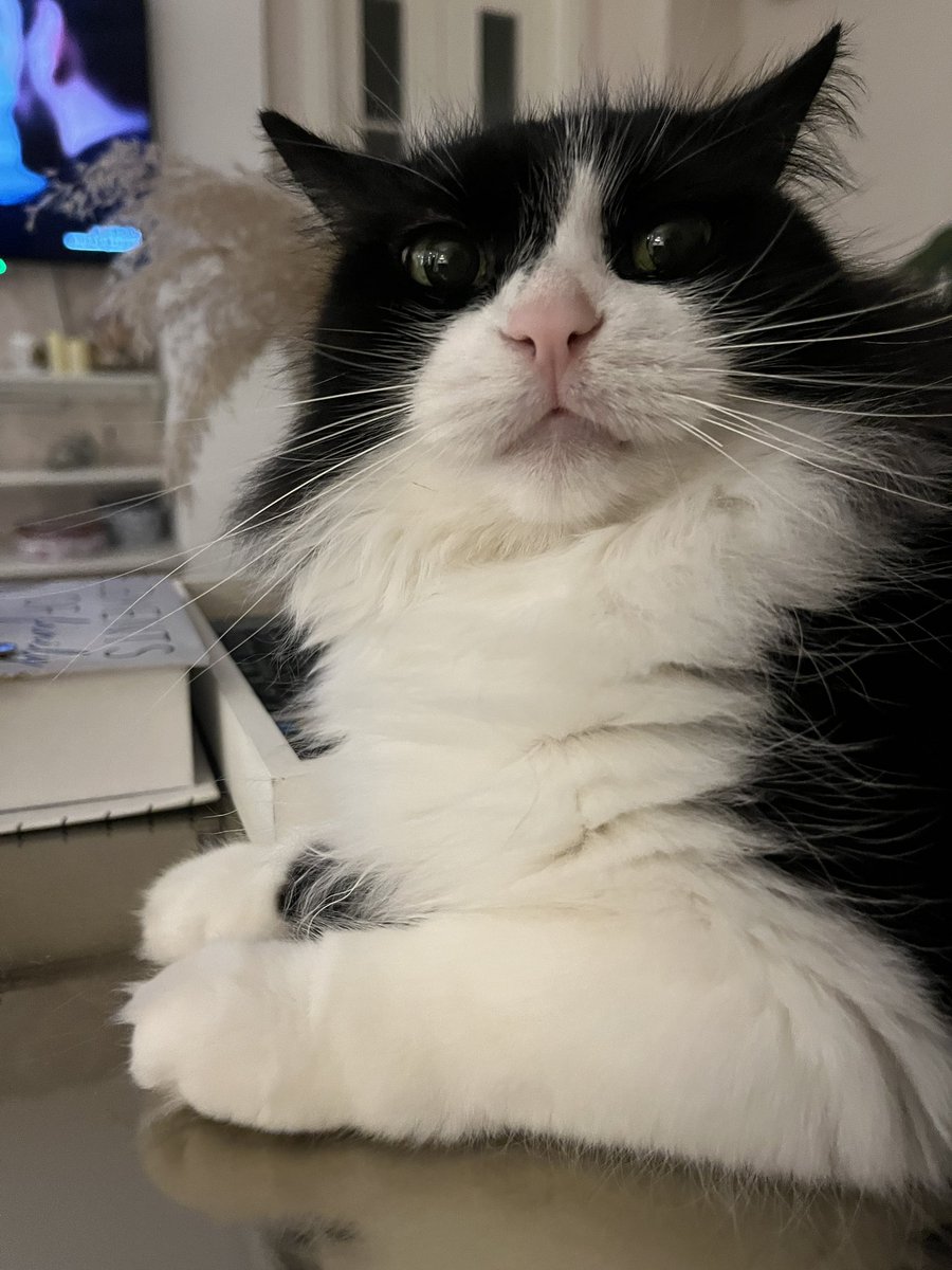 Ne varmıç avsımda