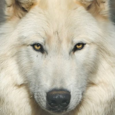 #NouvellePhotoDeProfil