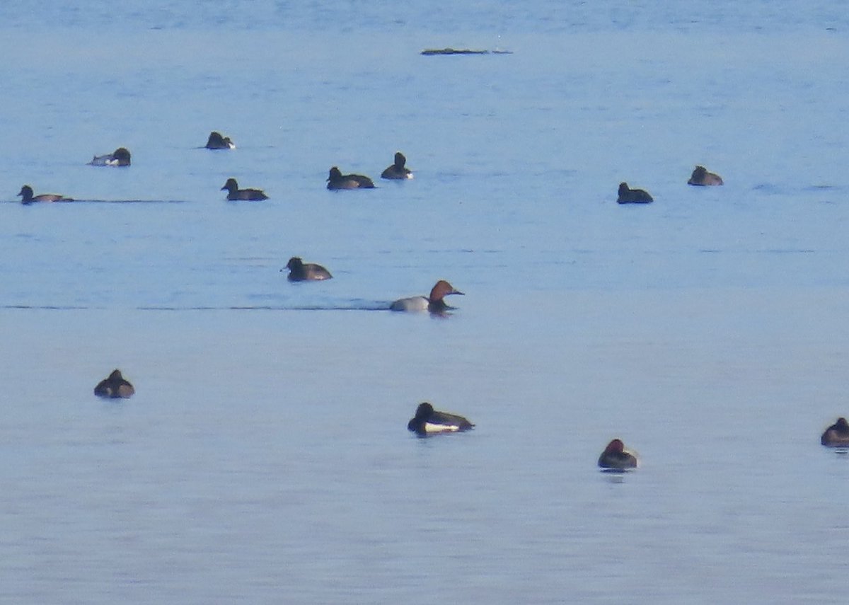 Gareth James tweet media