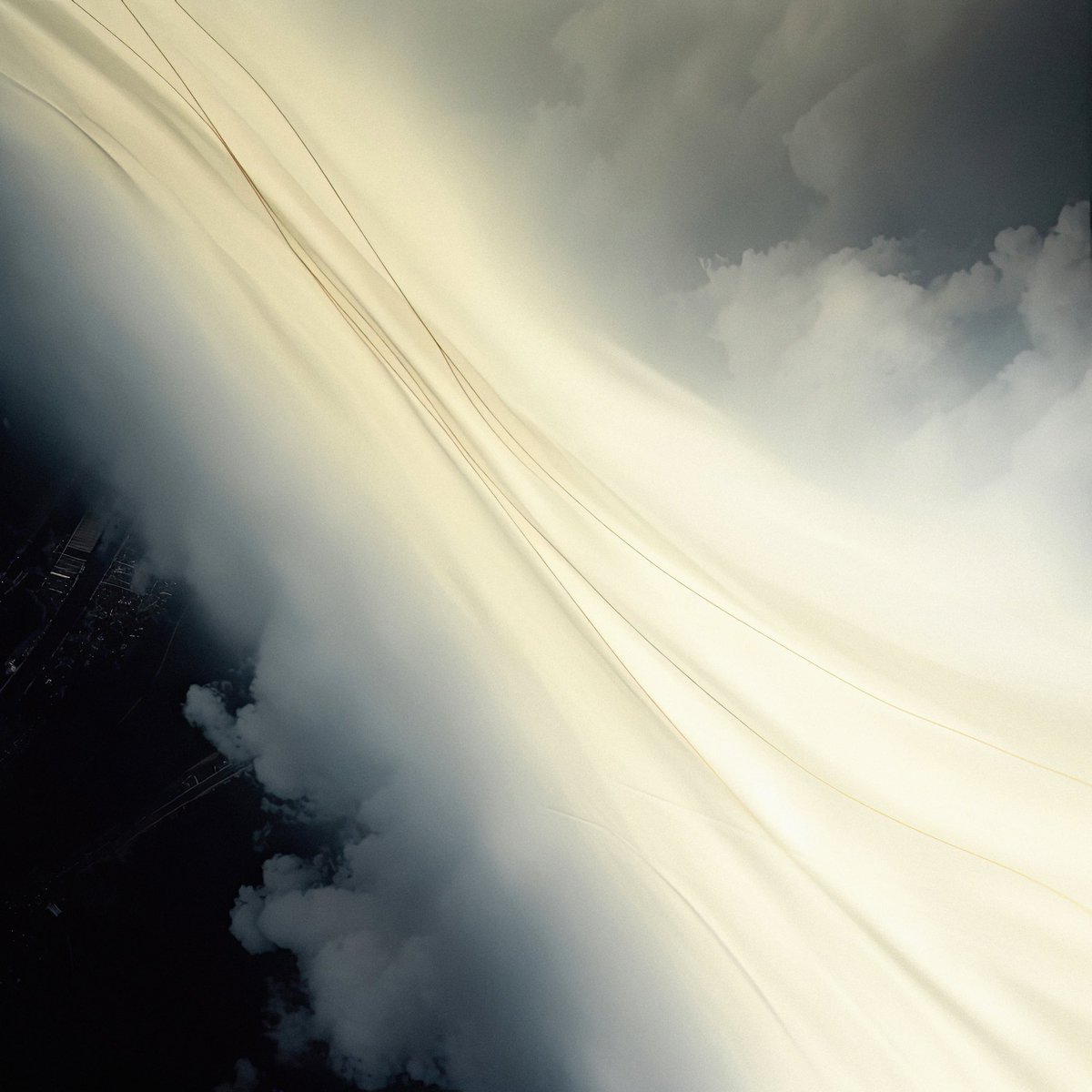 _alinatrifan's tweet image. 