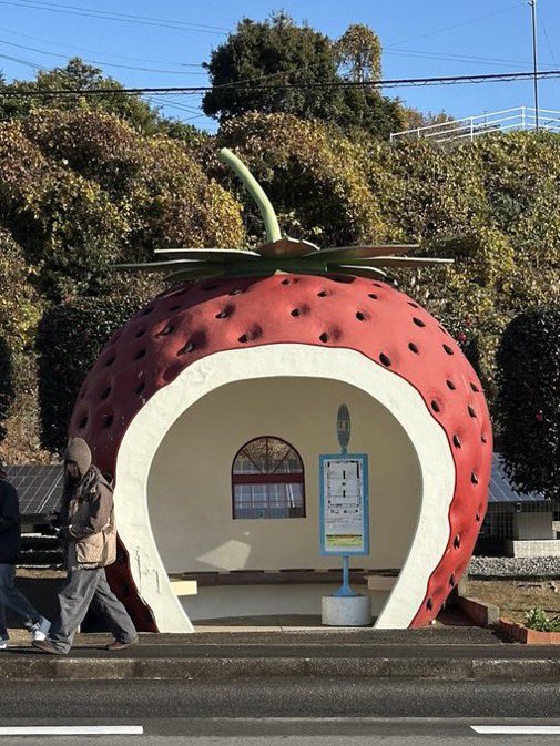 whotfisjovana's tweet image. what if we kissed at the strawberry bus stop