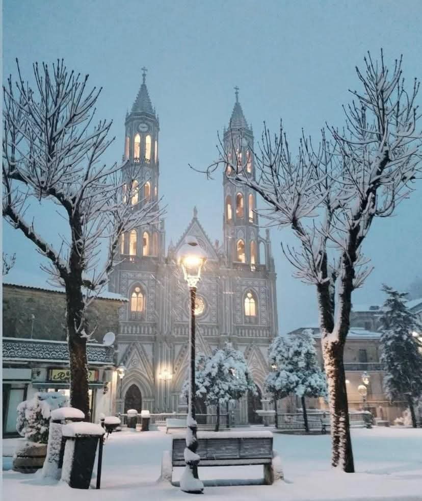 Marco M.M. tweet media