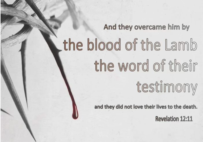 JCRyle's tweet photo. 11. Untold millions of Christians throughout the last two millenia have given their lives for the sake of Christ. They were the silent witnesses, the martyrs without monuments, whose courage spoke volumes. 

In the darkness of persecution, they held fast to their light, choosing faith over fear, love over life itself. Their stories, though often untold, weave a tapestry of devotion, each thread a testament to the power of belief. 

And they overcame him by the blood of the Lamb, and by the word of their testimony; and they loved not their lives unto the death. -Revelation 12:11