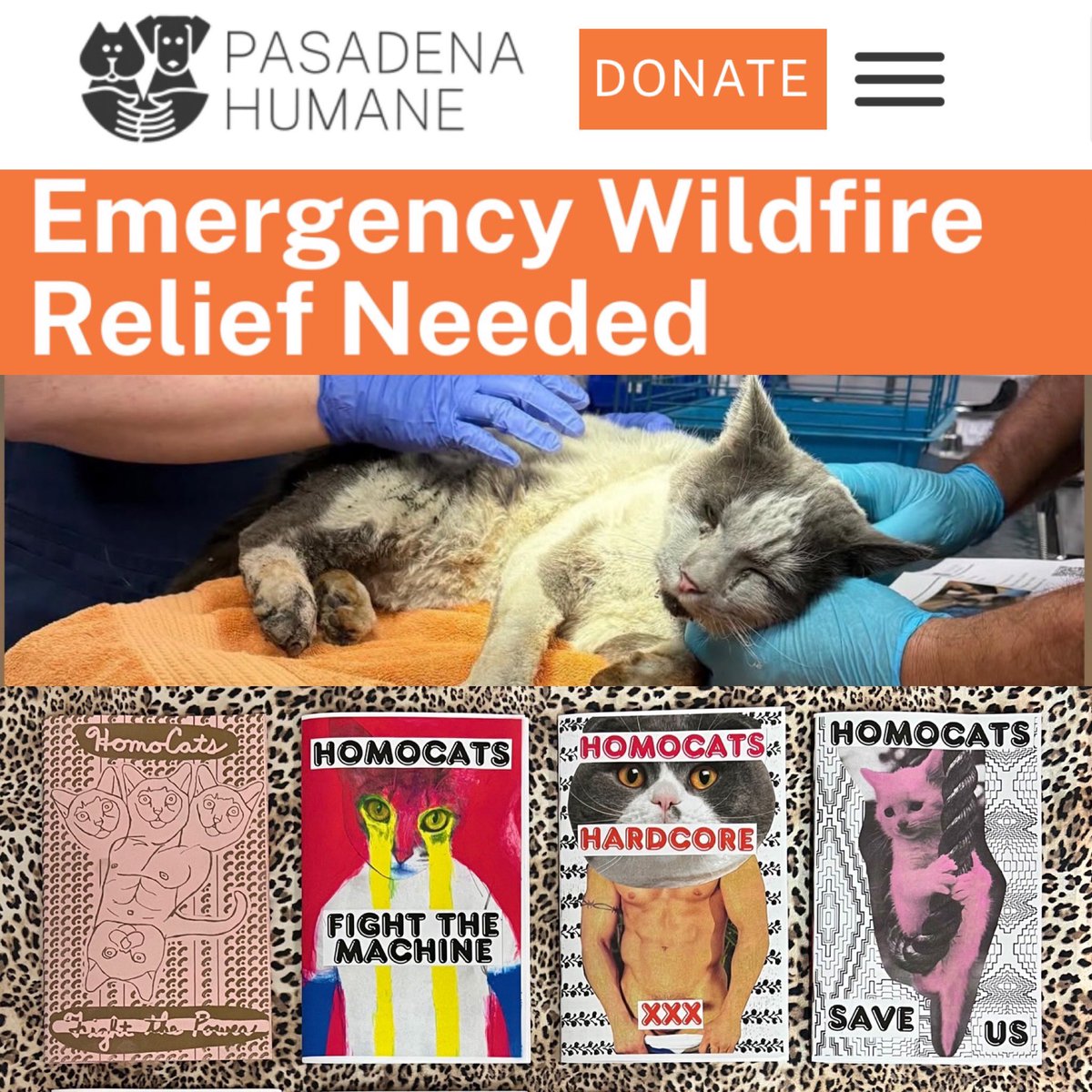 HOMOCATS (@homocatsnyc) on Twitter photo Zine benefit for Pasadena Humane, CA
Proceeds from all issues will be given to <a href="/PasadenaHumane/">Pasadena Humane</a>
#LosAngelesFire #AltadenaFire #CaliforniaWildfires Zine benefit for Pasadena Humane, CA
Proceeds from all issues will be given to <a href="/PasadenaHumane/">Pasadena Humane</a>
#LosAngelesFire #AltadenaFire #CaliforniaWildfires