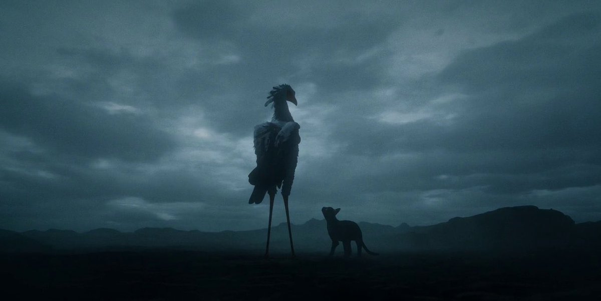 i_Midnight_'s tweet photo. Flow is a magnificent film about animals struggling and bonding in a world where humans are long gone. I don’t recall the last time I’ve seen something this breathtaking https://t.co/bThoyBihhk