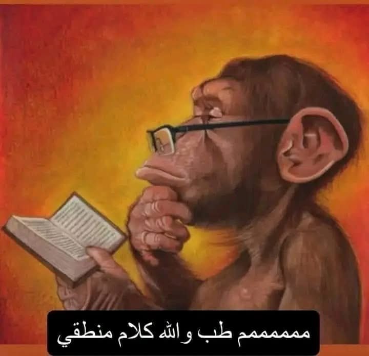 لسه مكتشف دلوقتي جمال المادة العلمية (قبل الامتحان بيوم)