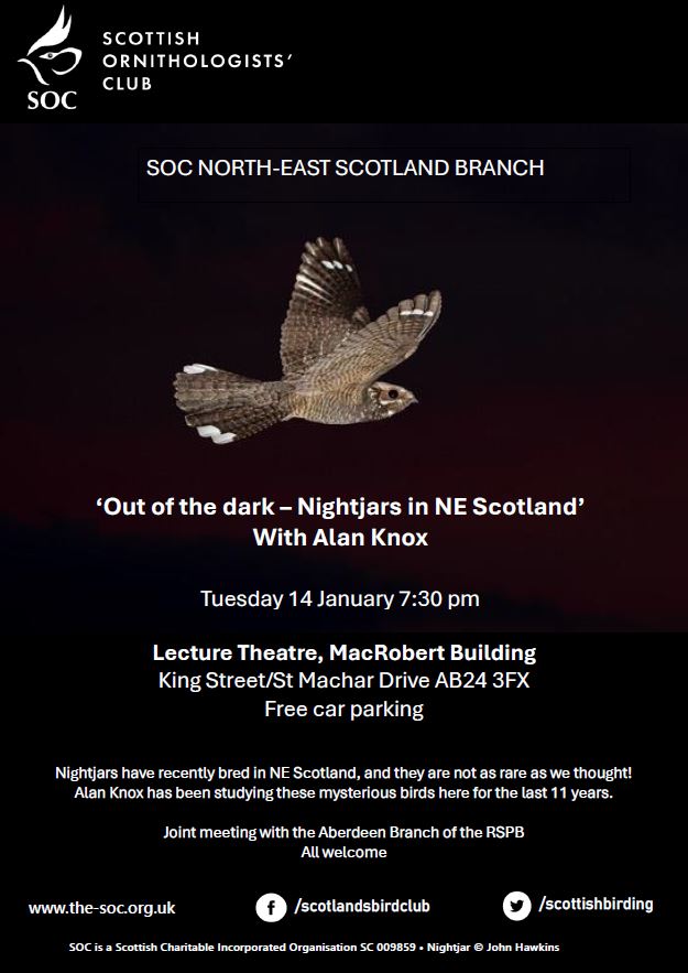 Nightjars! I'll be giving a talk to the SOC/RSPB onTuesday this week (14 Jan) on Nightjars in NE Scotland. They're not as rare as we thought!
All welcome.
<a href="/ScottishBirding/">The SOC</a> <a href="/BTO_Scotland/">BTO Scotland</a>