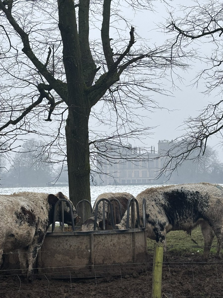 🎀HANNAH🎀 tweet media