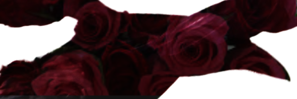 𝕾𝐡𝐢𝐧𝐲 𝐜𝐥𝐢𝐧𝐤𝐲 𝐭𝐡𝐢𝐧𝐠𝐬.ᐟ tweet media