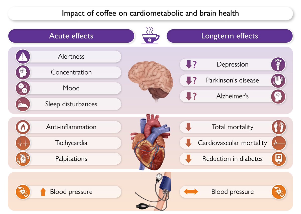Henry Han (@hancardiomd) on Twitter photo Start your day with a morning coffee!
☕️
<a href="/TomLuscher/">CardioTomLuscher</a> <a href="/ehj_ed/">EHJ Editor-in-Chief</a> <a href="/ESC_Journals/">European Society of Cardiology Journals</a> Start your day with a morning coffee!
☕️
<a href="/TomLuscher/">CardioTomLuscher</a> <a href="/ehj_ed/">EHJ Editor-in-Chief</a> <a href="/ESC_Journals/">European Society of Cardiology Journals</a>