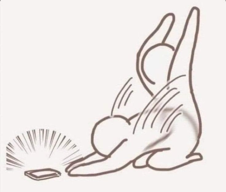 ✞ 𝕲𝖆𝖑𝖎𝖒 ✞ (@bundbljat) on Twitter photo 