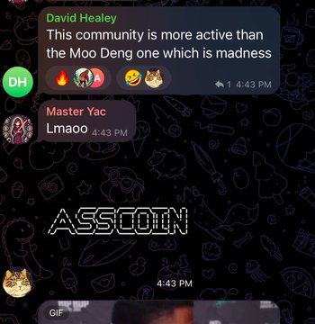 ArmatureCat's tweet photo. @SolJakey ASSCOIN feels undervalued AF
- shitoshi coin
- universal meme
- insane community https://t.co/VwnkcvzChp