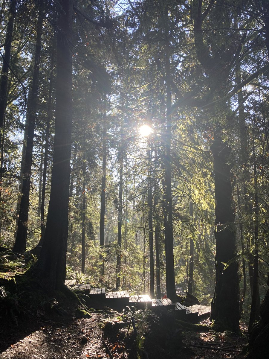 explorewithrene's tweet image. A new perspective is the spark to a changed #mindset