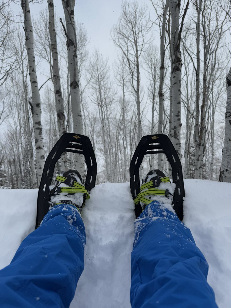 NASH_and_coffee's tweet photo. MASH-TAG 2025 was a perfect combination of innovation, communal brainstorming, friends and snowshoeing. Even found reasonable coffee. 

Looking forward to #MASHTAG2026 
#MASLD #MASH https://t.co/m2yC9g7bos
