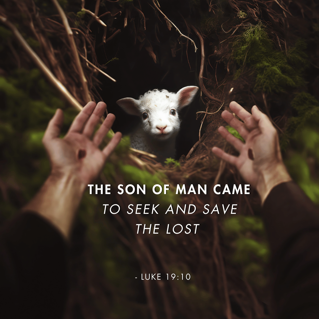 FoChristLife's tweet photo. 'The Son of Man came to seek and save the lost' Luke 19:10 https://t.co/m1p6w05tqU