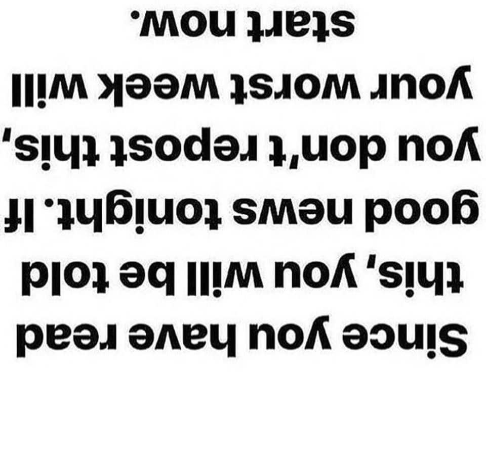 serellicious's tweet photo. Not risking it 😅 https://t.co/CbfAFfX1R8