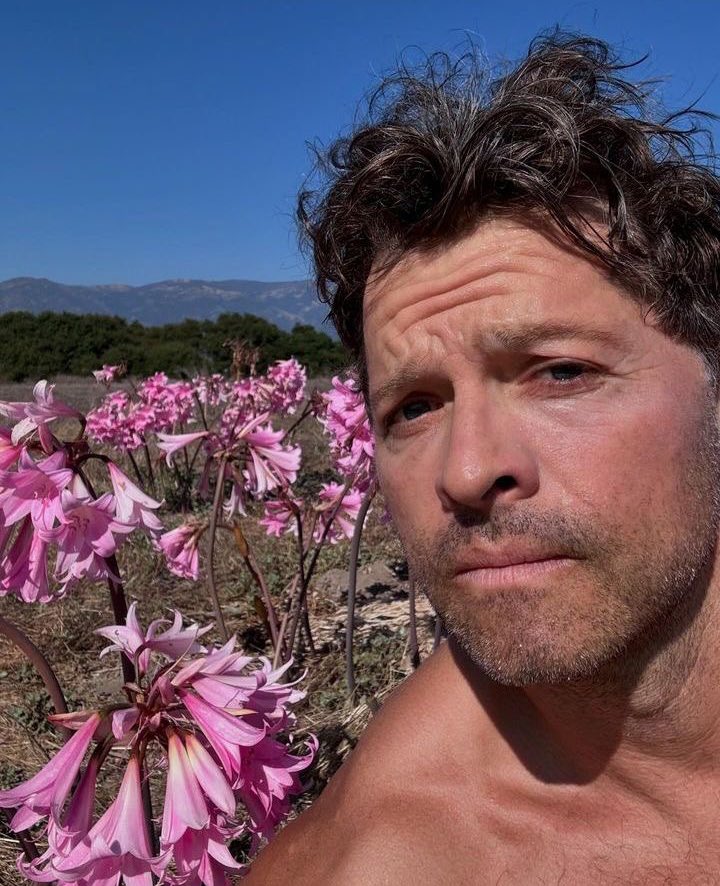 Daily_Collins's tweet image. 