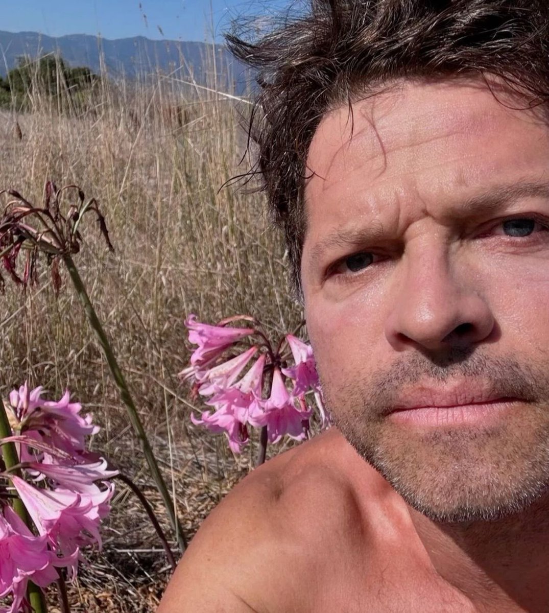 Daily_Collins's tweet image. 