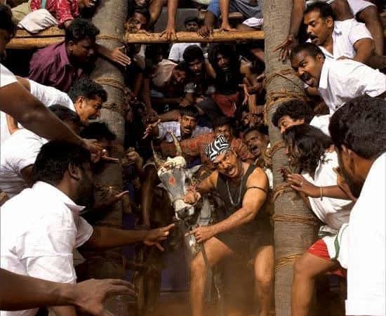 kayaldevaraj's tweet photo. January 14th
#21YearsOfVirumandi
#Virumandi
#KamalHaasan 💗
@KHOurPride @ikamalhaasan @KamalismForever https://t.co/2WRIF5clsH