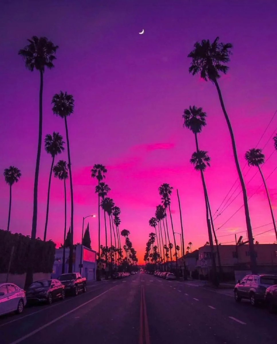 LakersLead's tweet photo. The greatest city on Earth 🌴 https://t.co/4eO9jZfuif