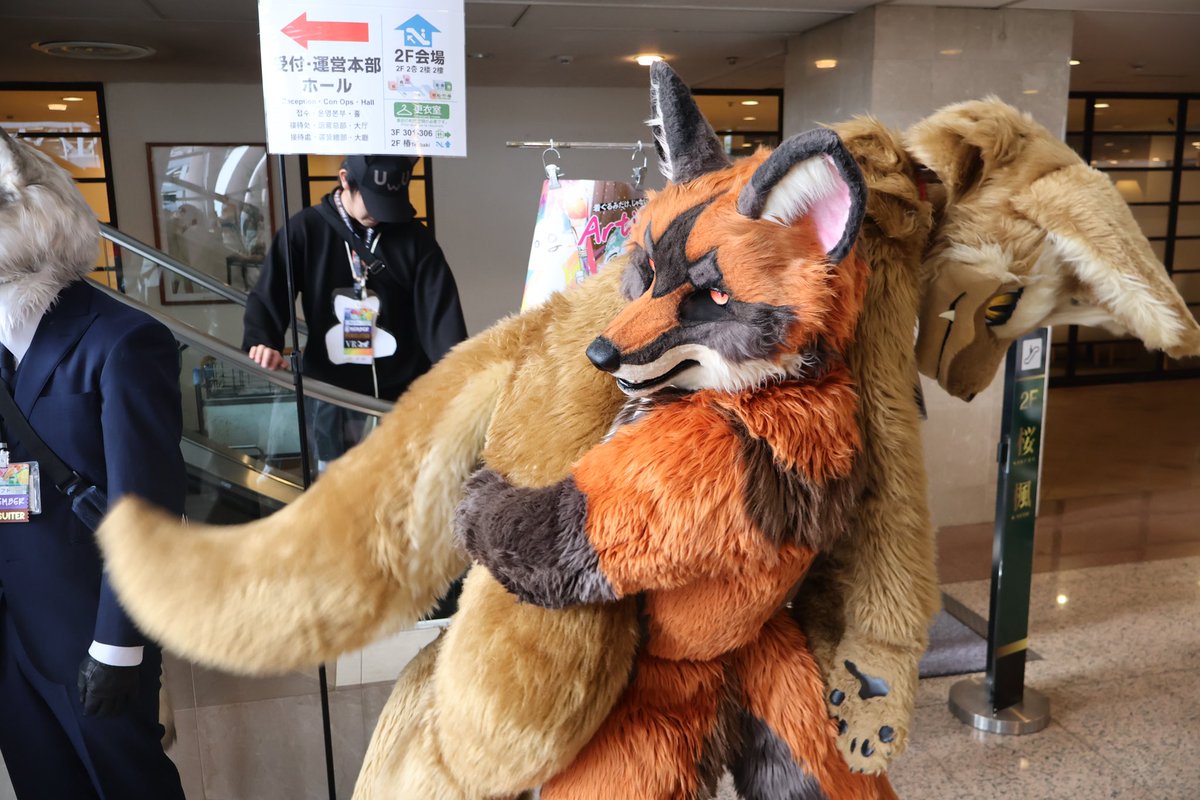 Sparrow🐦 ➡️Furstclass tweet media