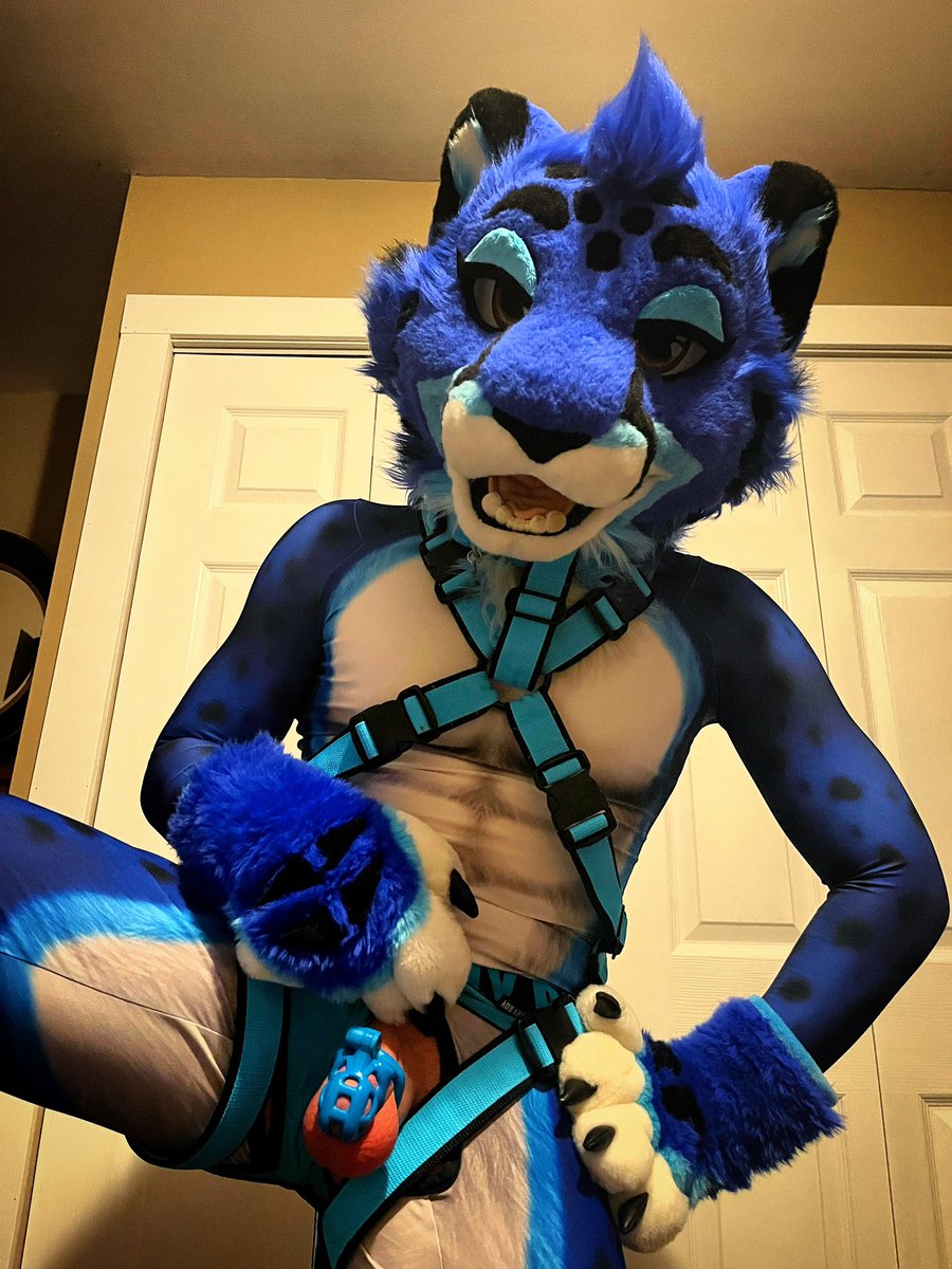 Mraow, I’ll be your service kitty for the evening~ 😘💙💅
