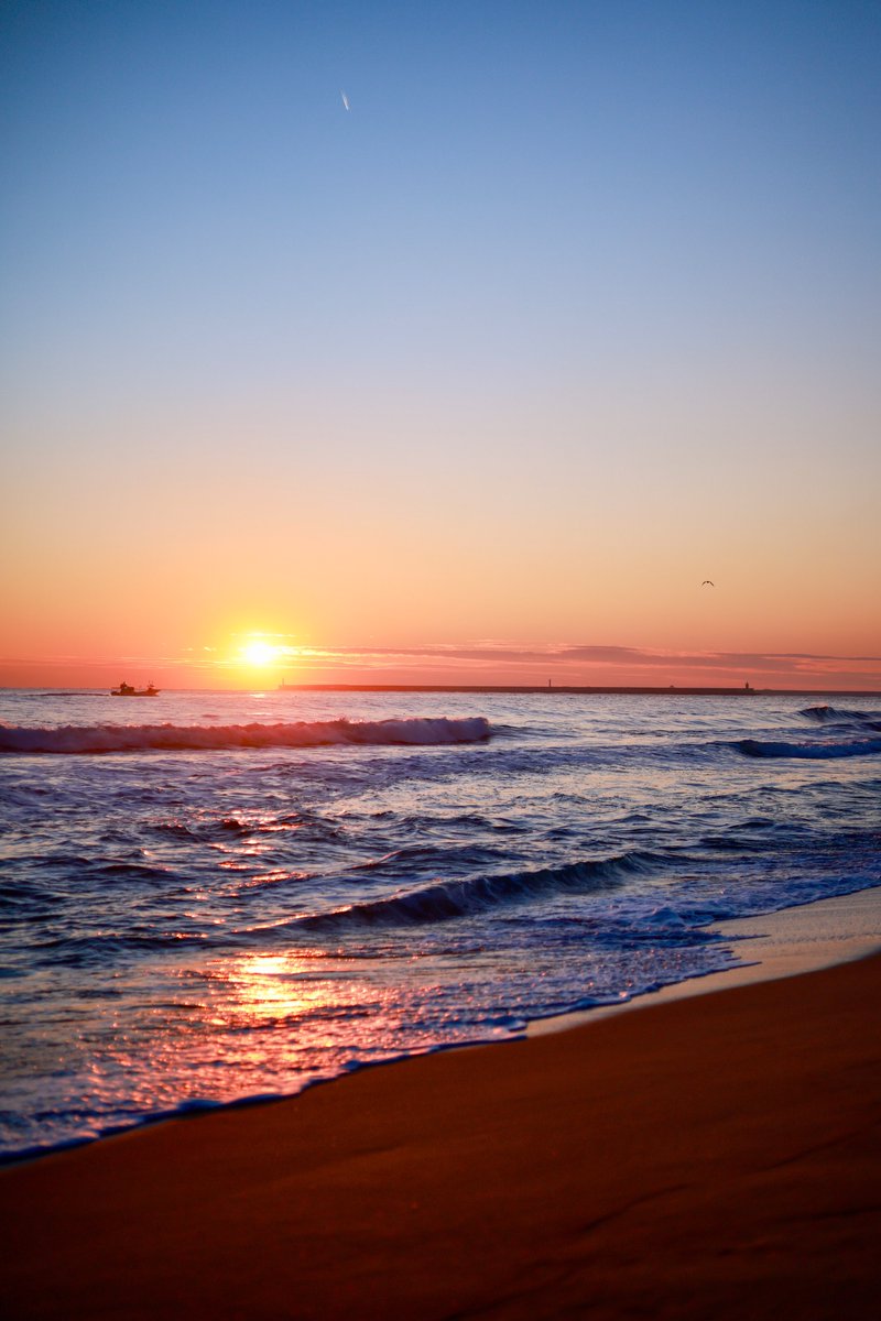 겨울동해가 좋다