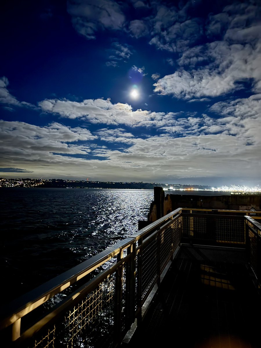 What’s happening Tacoma are you not in monkeyshine shape?  These have been out for awhile and the moon on the water is amazing!  #monkeyshines2025