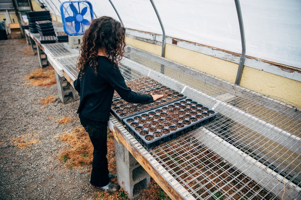 AlpineVillage_'s tweet photo. Seed starting season is here 🙌🏽 

#alpinevillageidaho #alpinevillageschoolandfarms #northidaho #farmlife https://t.co/vzQcl7CekD