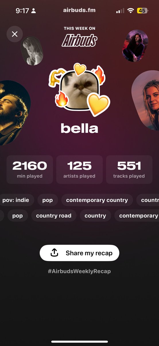 bellanemone's tweet image. does anyone know how to make the music i have to play at work not count on airbuds i literally could not tell you what my top song actually sounds like 😔