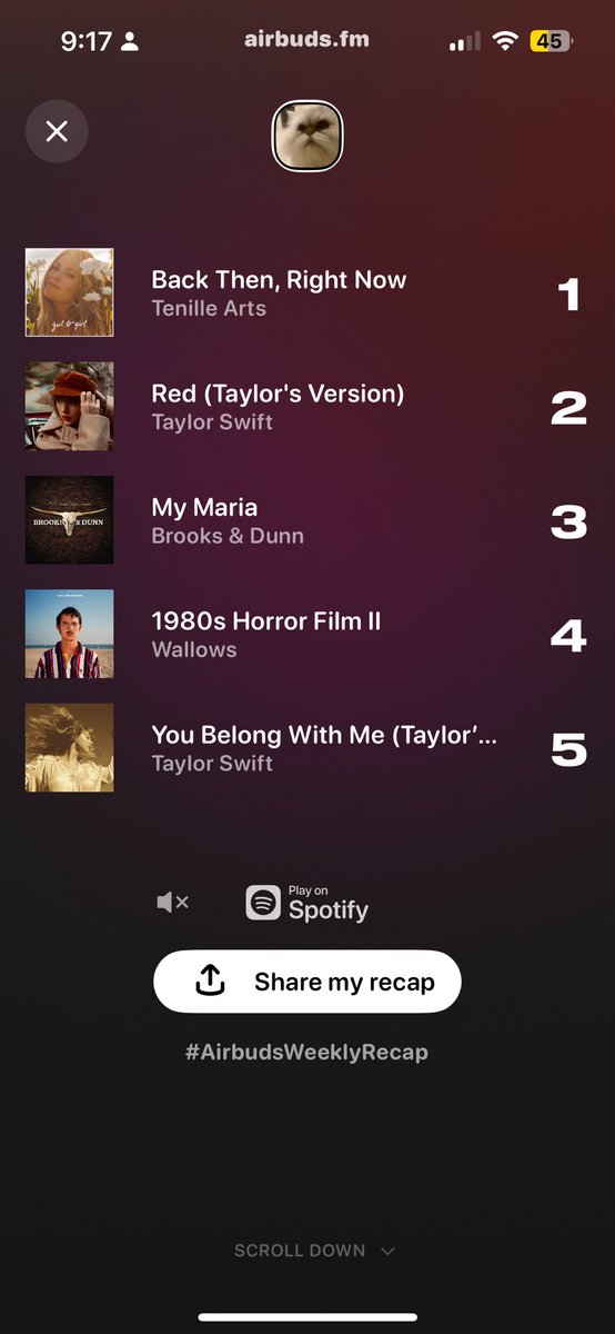 bellanemone's tweet image. does anyone know how to make the music i have to play at work not count on airbuds i literally could not tell you what my top song actually sounds like 😔