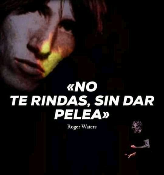 🎧 Roger Waters 🇬🇧
#RogerWaters#RockIsAllYouNeed🎸

<a href="/rogerwaters/">Roger Waters ✊</a>

#RogerWaters #LeyendasDelaMusica #inglaterra 🇬🇧