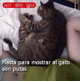 Voxed Posting tweet media