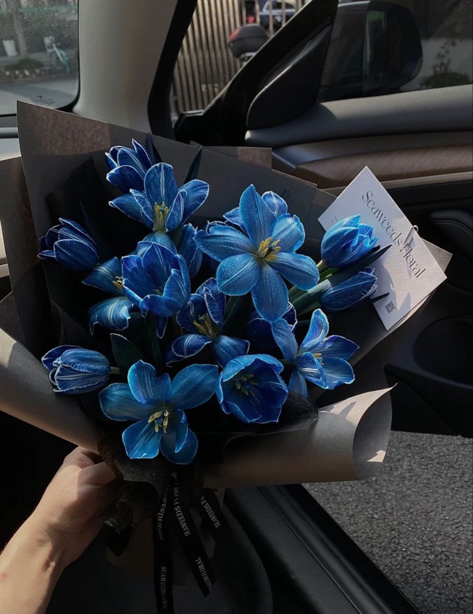 i3Moment's tweet image. Blue Tulips