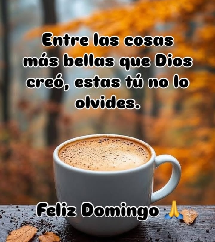 edith mendez (@edithmendez1969) on Twitter photo 