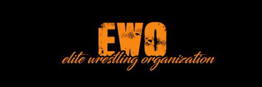 If you're looking for a place to bring in a new character or simply bring in your primary character, then come check out eWo. We're looking for all types of characters (within the realms of realism) to showcase your skills. What can we offer you? I'm glad you asked...

• We're a