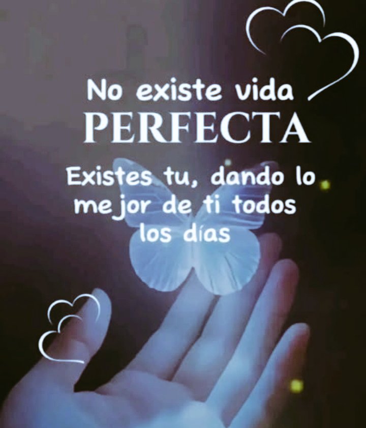 edith mendez (@edithmendez1969) on Twitter photo 