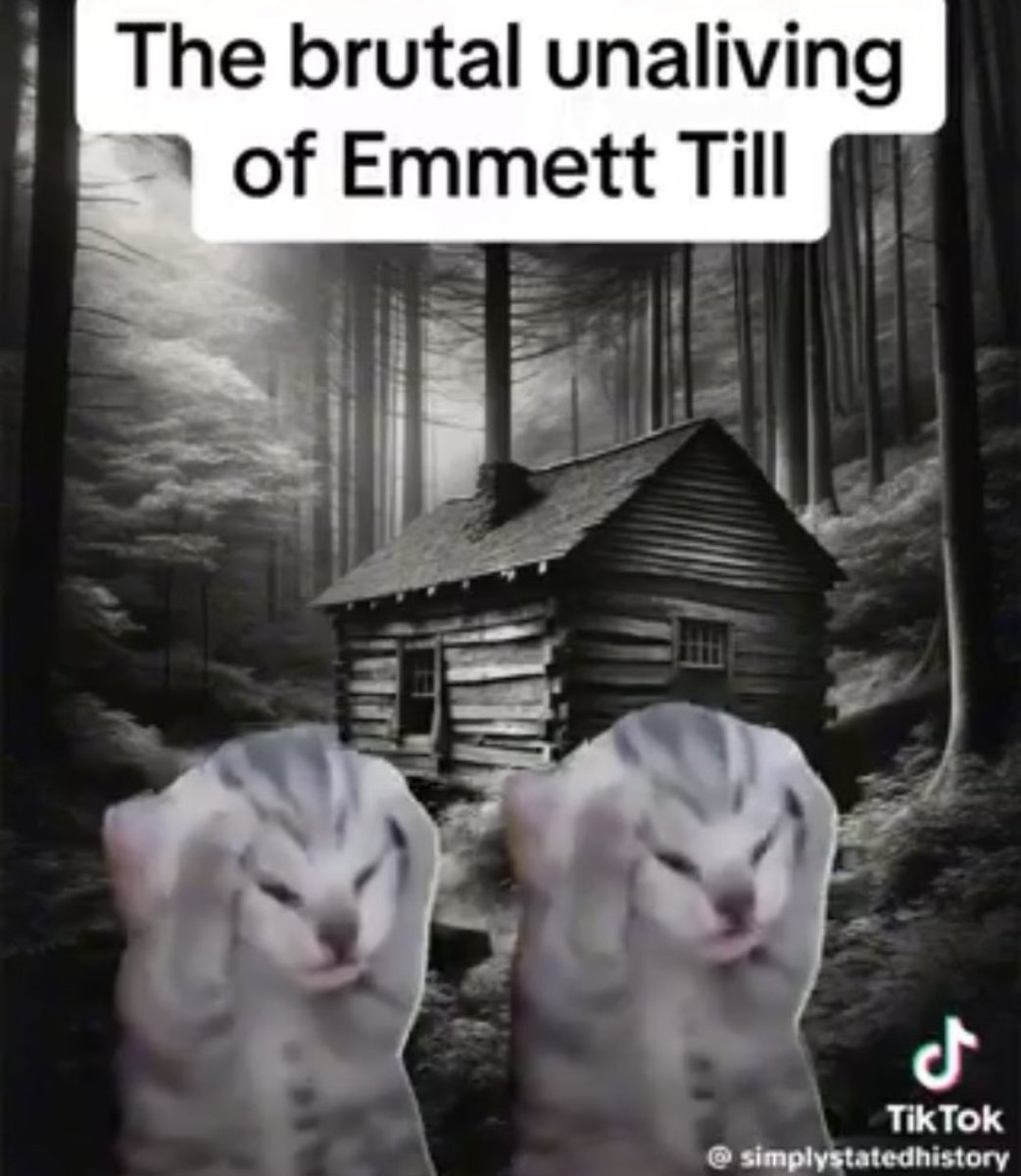 Who remembers the "horrible historical events with cats" trend