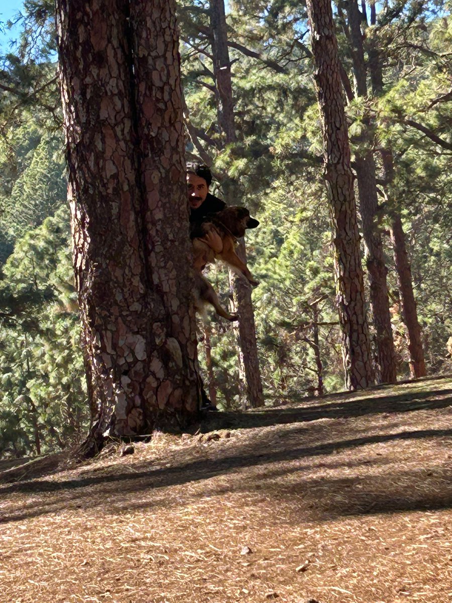 Antonio Demico tweet media