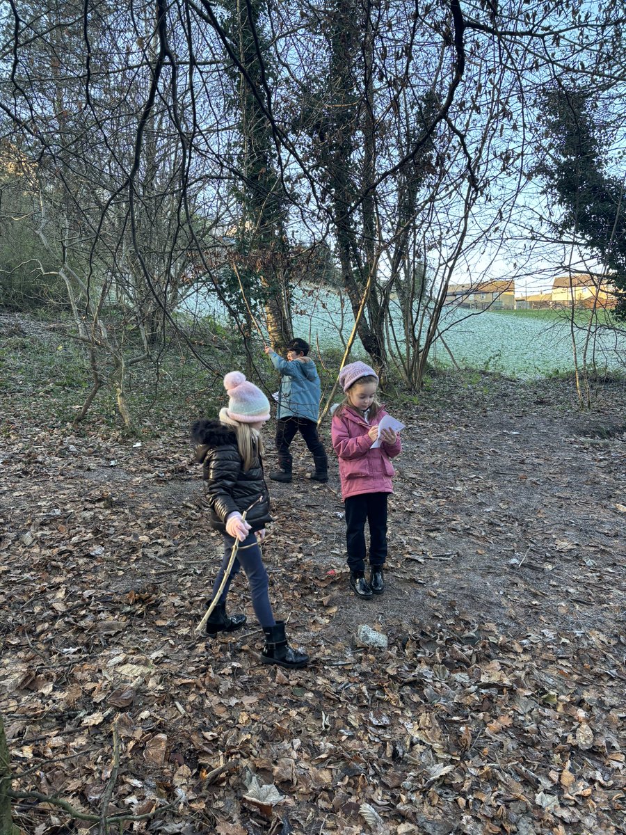 During outdoor learning we used our data handling skills to tally up the different leaves found in the woods. 🍁🍂🌿