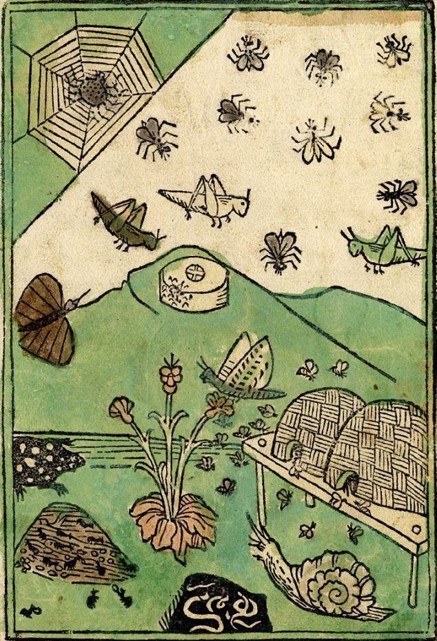 plum (@fizzfug) on Twitter photo 