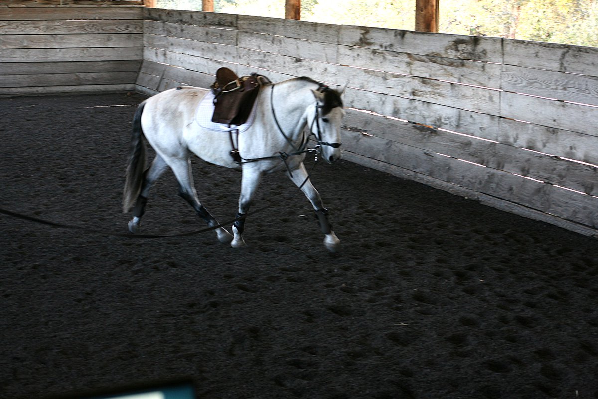 Laura Miller tweet media