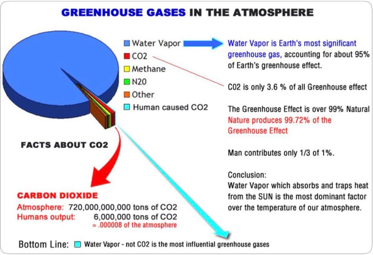 PeterDClack's tweet image. This is exactly how 'greenhouse gas' has been distorted. The biosphere is a massive dynamic structure no longer driven by only by the mechanics of geology, continental shift &amp;amp; the sun. Life is now a driving force in our evolving world fully based on microorganisms, cells &amp;amp; algae.