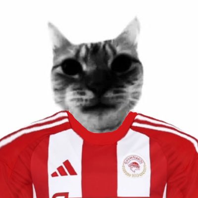 gato tweet media
