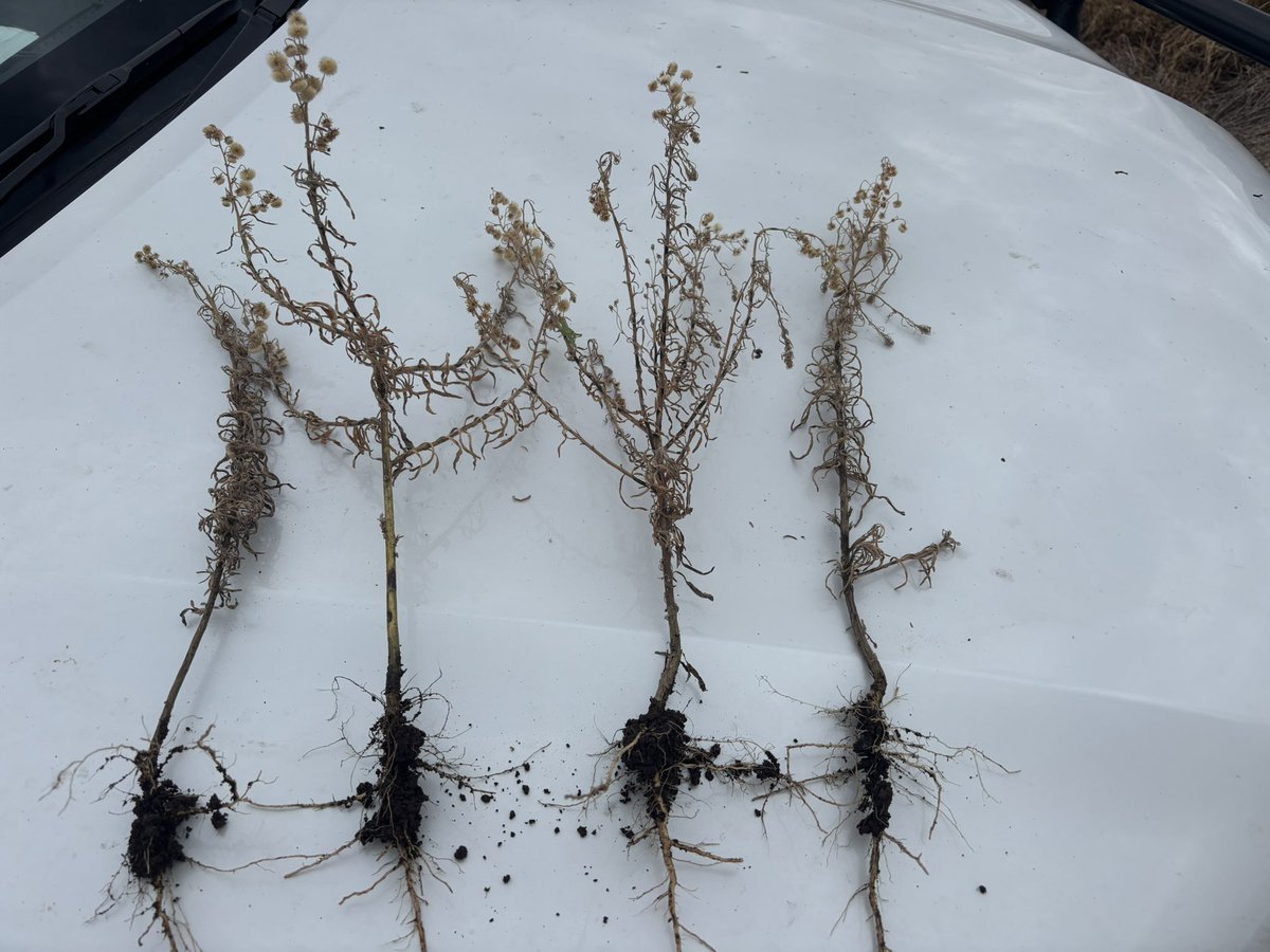 Martin Murray tweet media